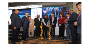 India-Electronics-and-Semiconductor-Association
