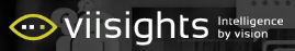 visisight logo