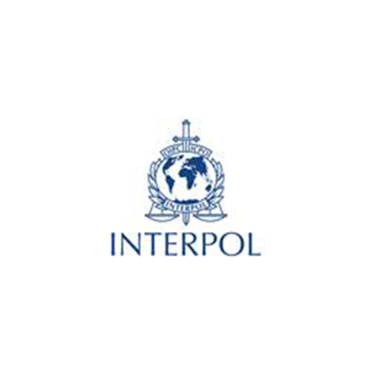 20,000 Malicious IPs and Domains Taken Down in INTERPOL Infostealer Crackdown